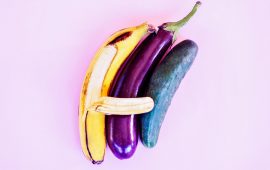 Tipos de Pênis, você conhece o seu companheiro?