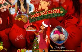 O Peru de Natal do meu Cunhado